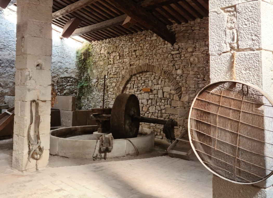 Antic Molí d'Oli Maurici Massot Antic Molí d'Oli Maurici Massot