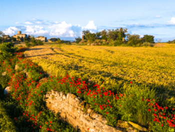 Valls del Sió - Llobregós