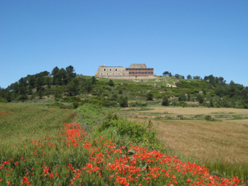 Santuari del Tallat de Rocallaura
